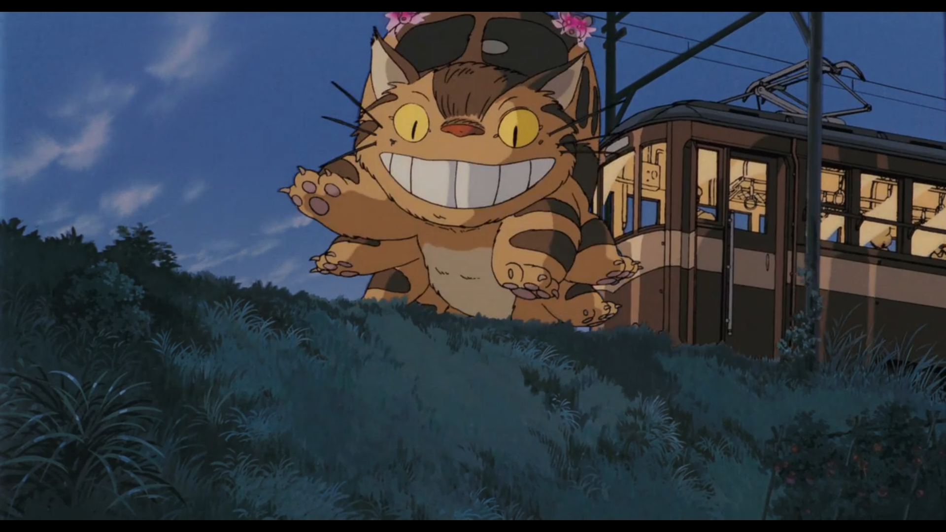 Scène du film Mon voisin Totoro
Le chat-bus, immense chat  de couleur fauve, rayé marron, avec des yeux jaunes et arborant un grand sourire, de la taille d'un bus avec une bonne douzaine de pattes et des fenêtres au dessus de sa tête, avec des lueurs roses au dessus, passant devant une rame de train, couleur sombre avec une bande blanche sous les fenêtres, allumée à l'intérieur, au milieu d'une végétation vert foncée, puisque la nuit commence à tomber.